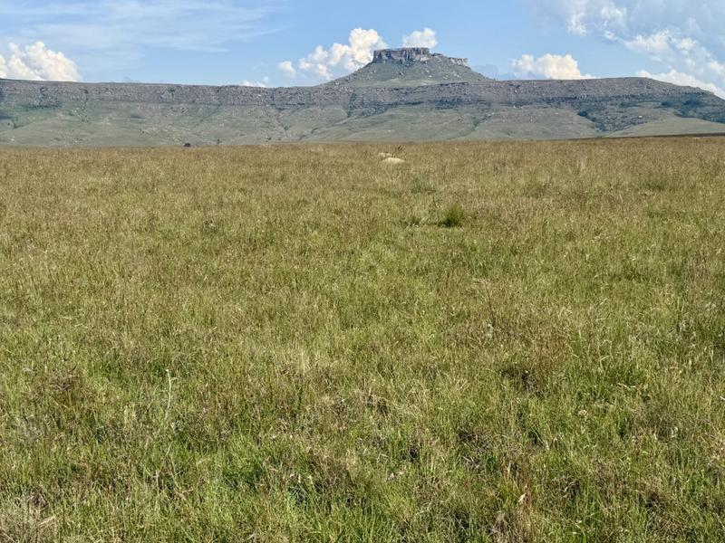 0 Bedroom Property for Sale in Harrismith Free State